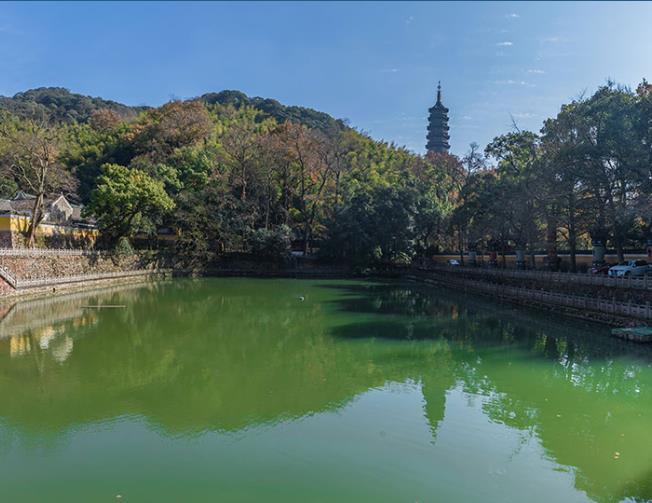 常見的屠宰場(chǎng)污水處理工藝是怎樣的？